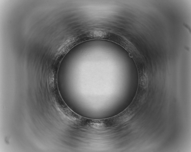 X0000102500552200808151523