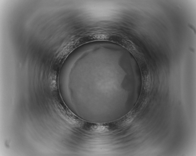 X0000102500553200808151523