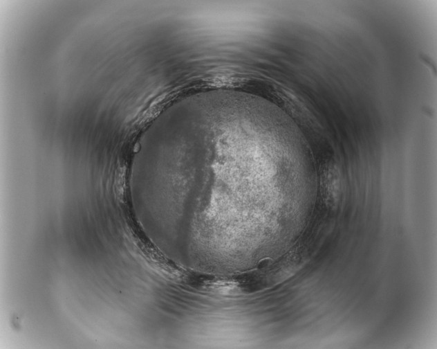 X0000102500554200808151523