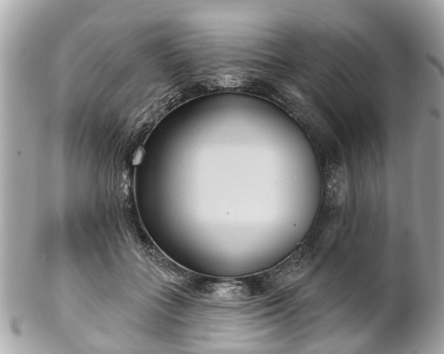 X0000102500555200808151523