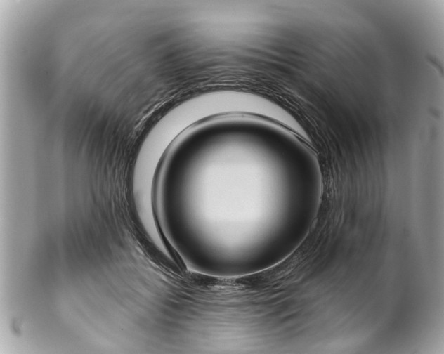 X0000102500556200808151523