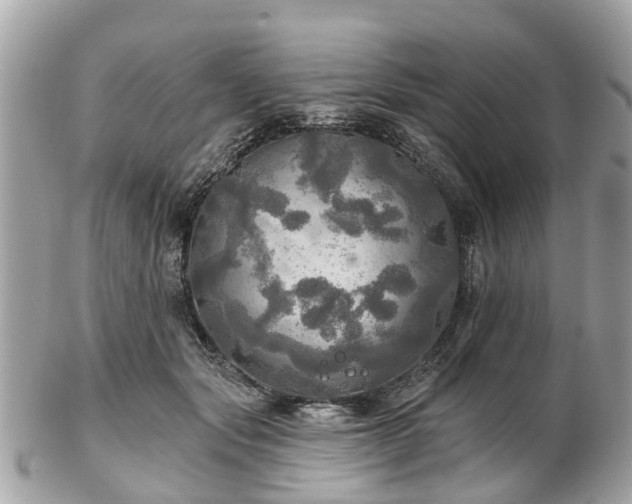 X0000102500557200808151524