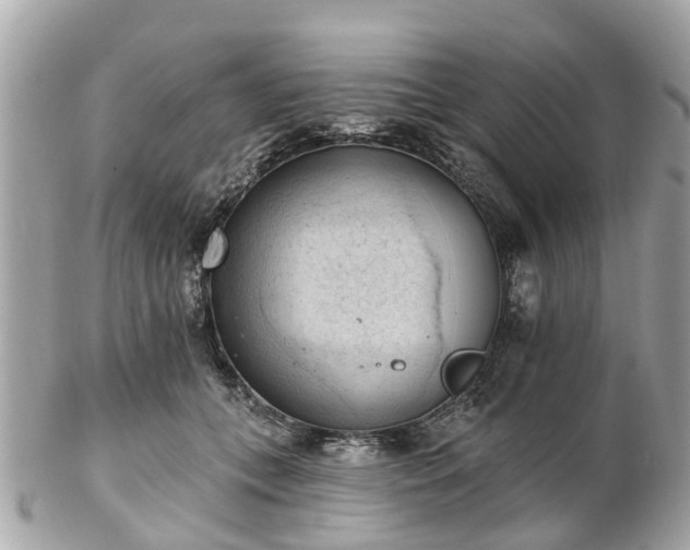 X0000102500559200808151524