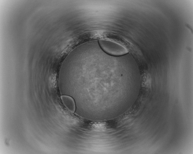 X0000102500560200808151524