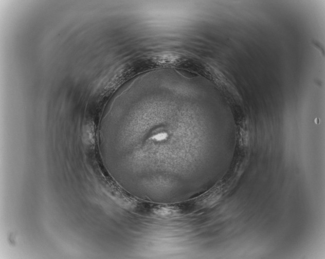 X0000102500561200808151524