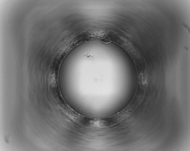 X0000102500564200808151524