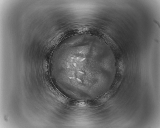 X0000102500565200808151524