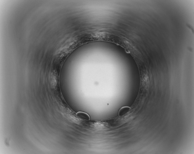 X0000102500566200808151524