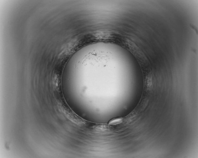 X0000102500567200808151524