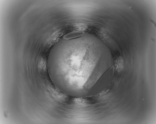 X0000102500568200808151524