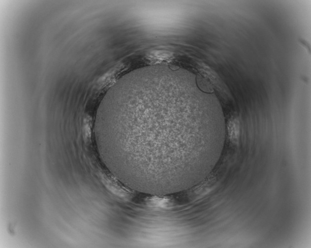 X0000102500570200808151524