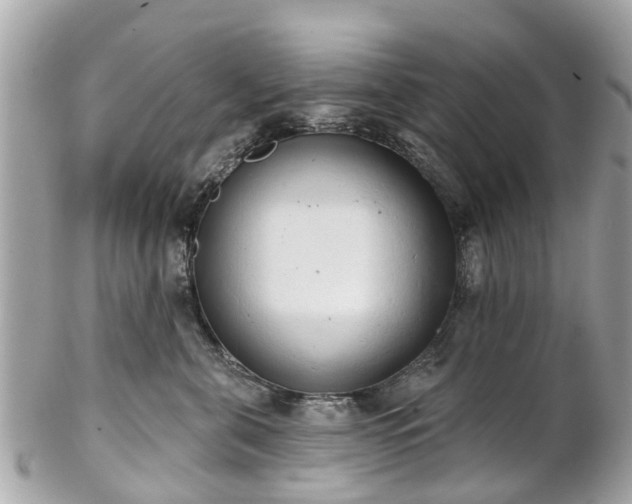 X0000102500571200808151524