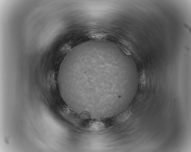 X0000102500572200808151524