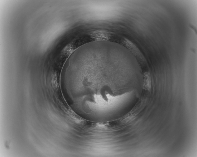 X0000102500573200808151524