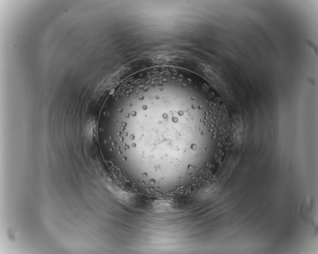 X0000102500574200808151524