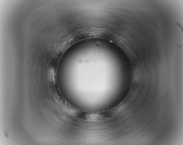 X0000102500575200808151524