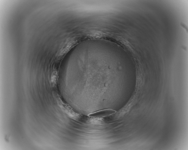 X0000102500576200808151524