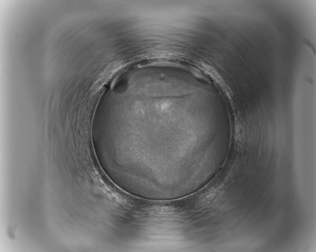 X0000102500577200808151523