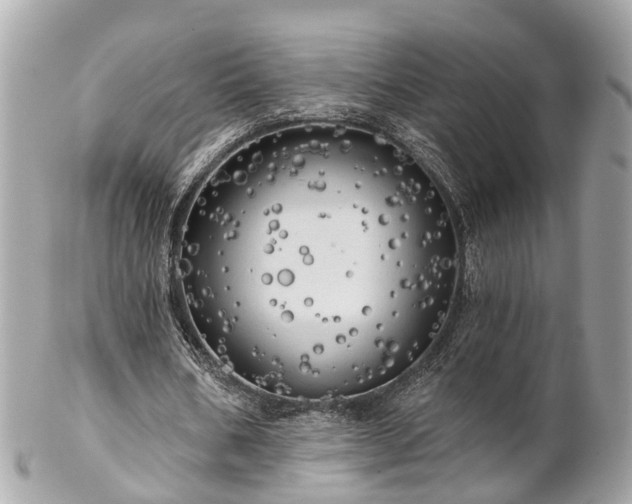 X0000102500578200808151523