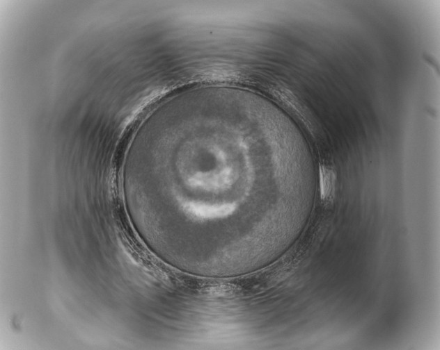 X0000102500579200808151523