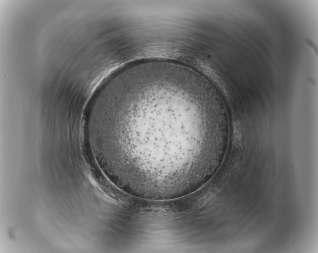 X0000102500580200808151523