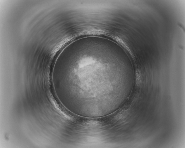 X0000102500581200808151523