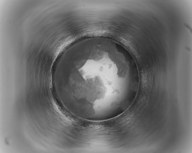 X0000102500582200808151523