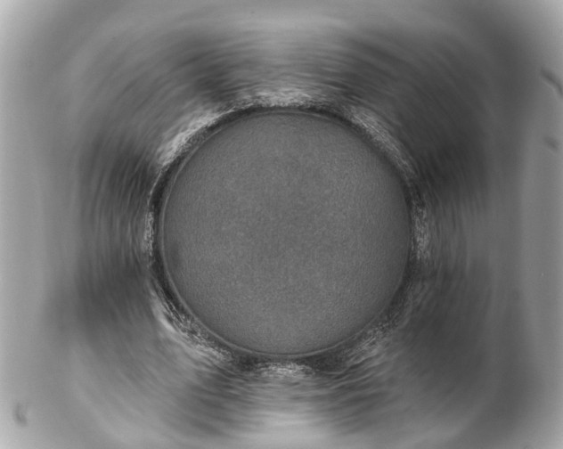 X0000102500583200808151523