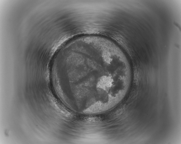 X0000102500584200808151523