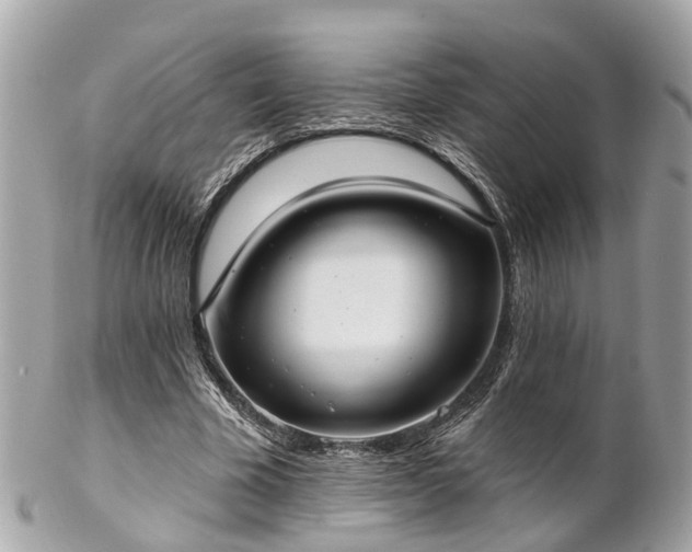 X0000102500585200808151523