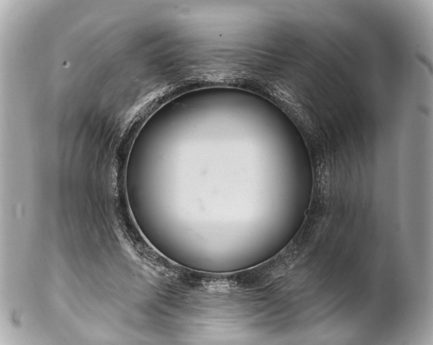 X0000102500587200808151523