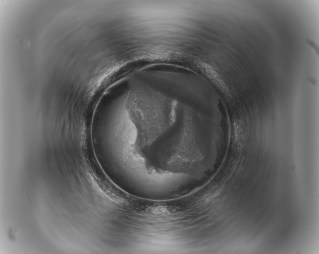 X0000102500588200808151523