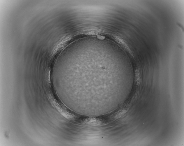 X0000102500589200808151523