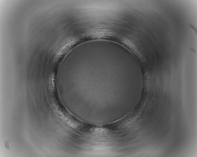 X0000102500590200808151523