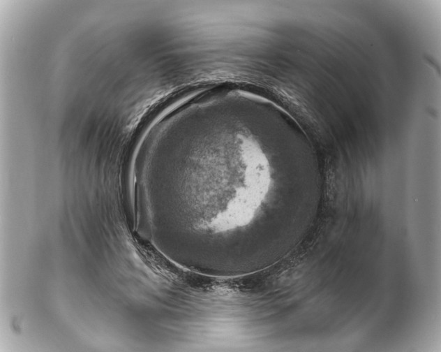 X0000102500592200808151523