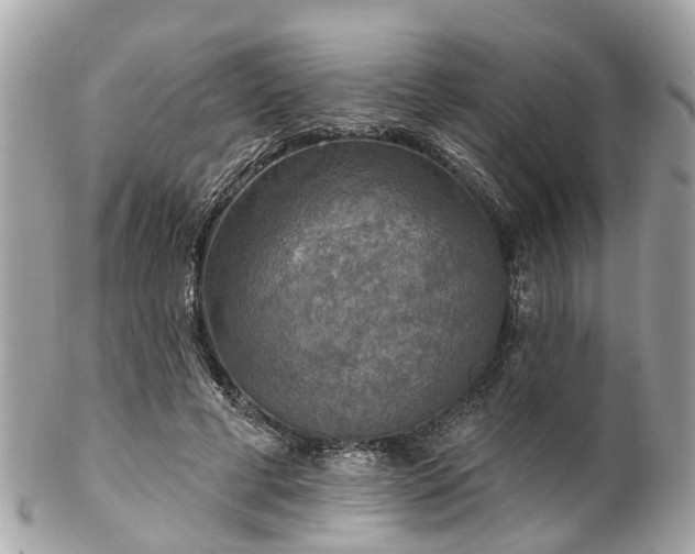 X0000102500593200808151523