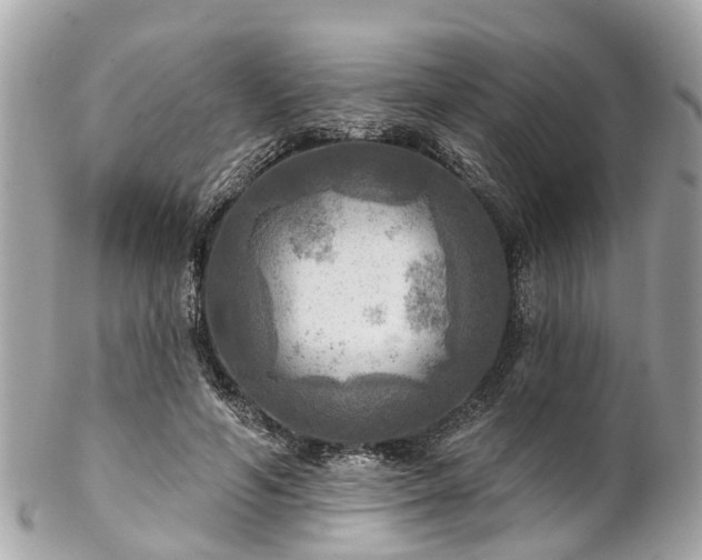 X0000102500594200808151523