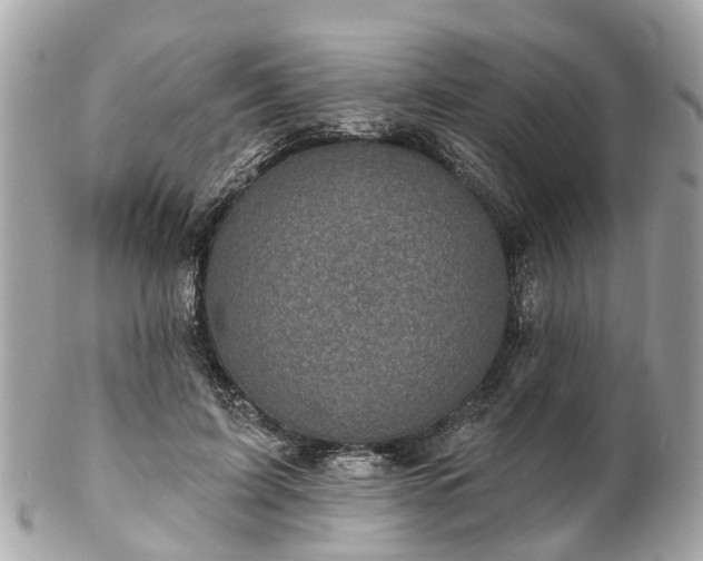 X0000102500595200808151523