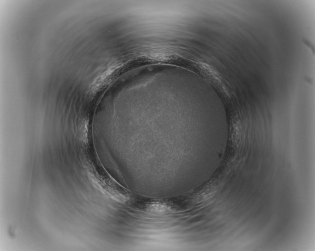 X0000102500596200808151523