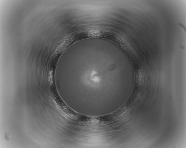 X0000102500598200808151523