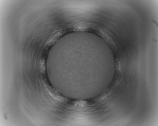 X0000102500599200808151523