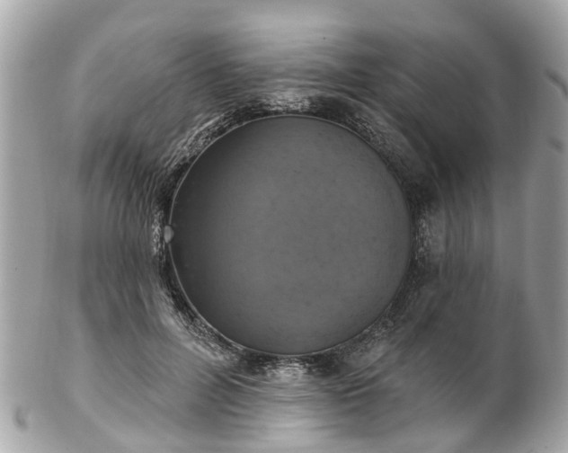 X0000102500600200808151523