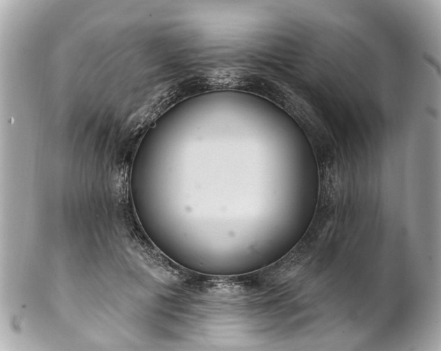 X0000102500601200808151523