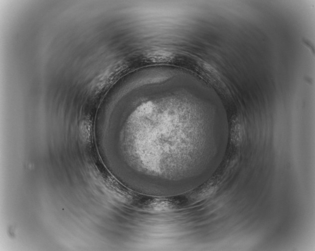 X0000102500604200808151523