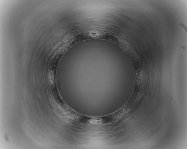 X0000102500606200808151523