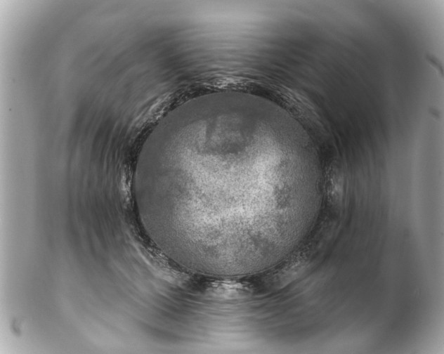 X0000102500607200808151523