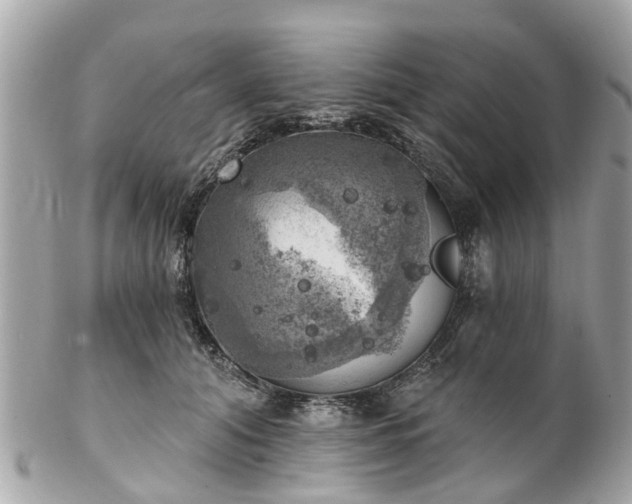 X0000102500608200808151523