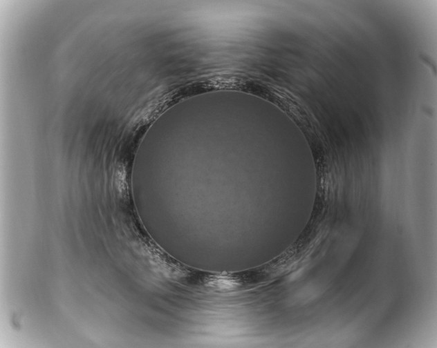 X0000102500610200808151523