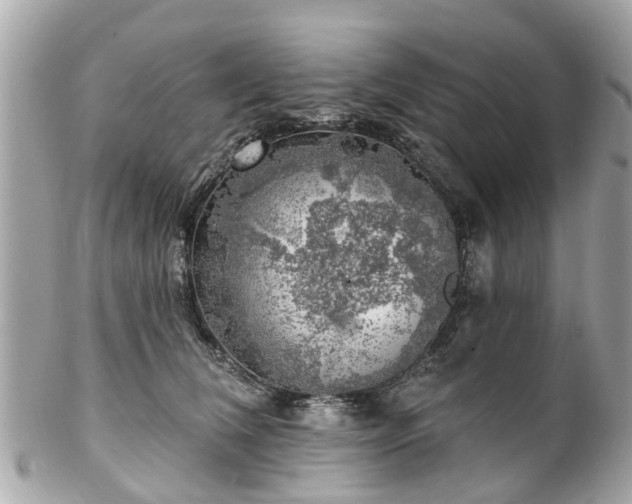 X0000102500612200808151522