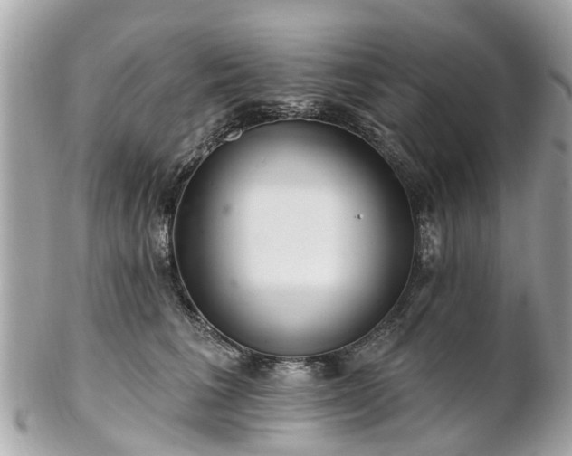 X0000102500613200808151522